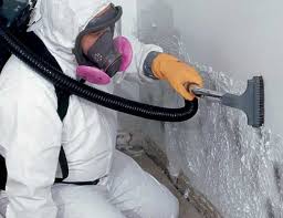 Best HVAC Mold Inspection and Cleaning  in Mission Hills, KS